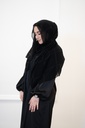 The Shiny Black